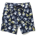 Navy Navy